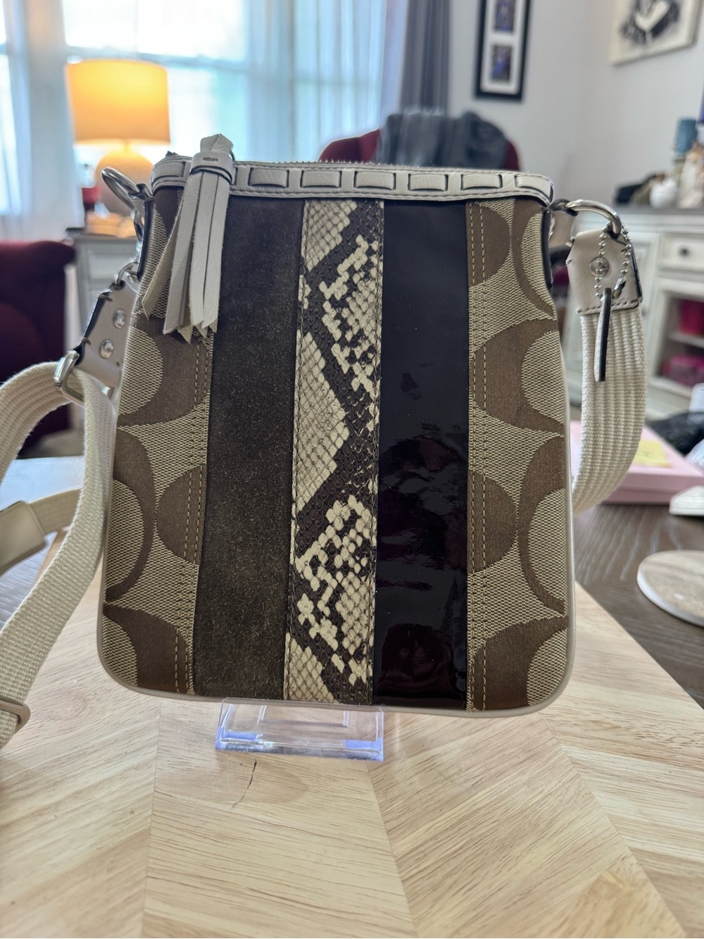 Coach Signature Stripe Bag Python Snake Crossbody Swingpack